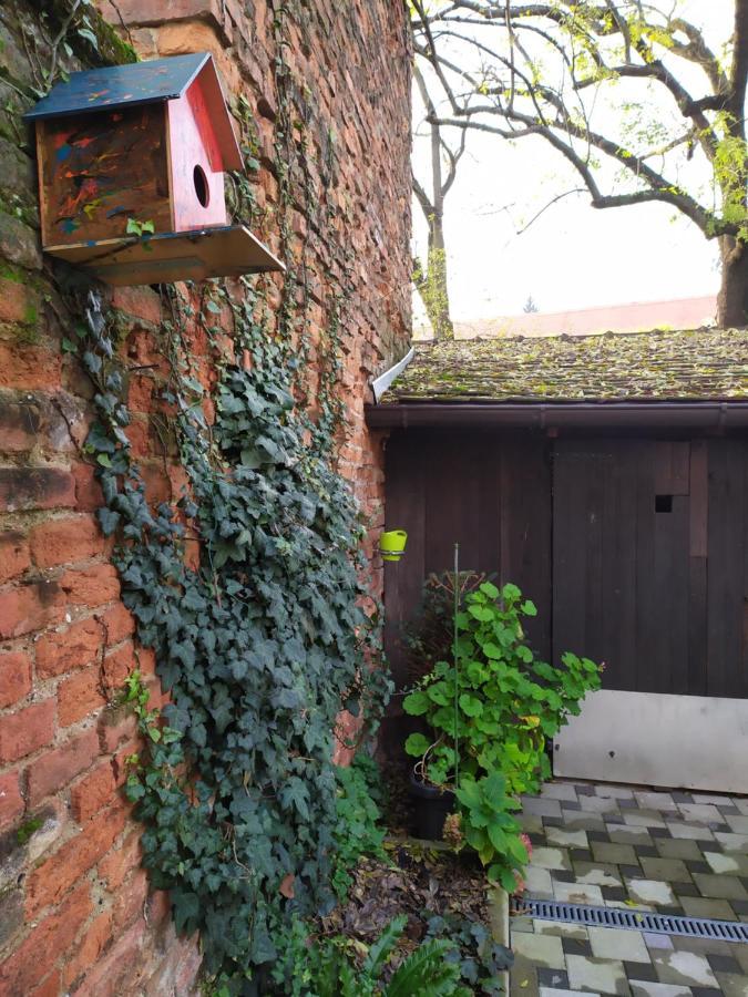 Tiny Cozy Accommodation Zagreb Eksteriør billede