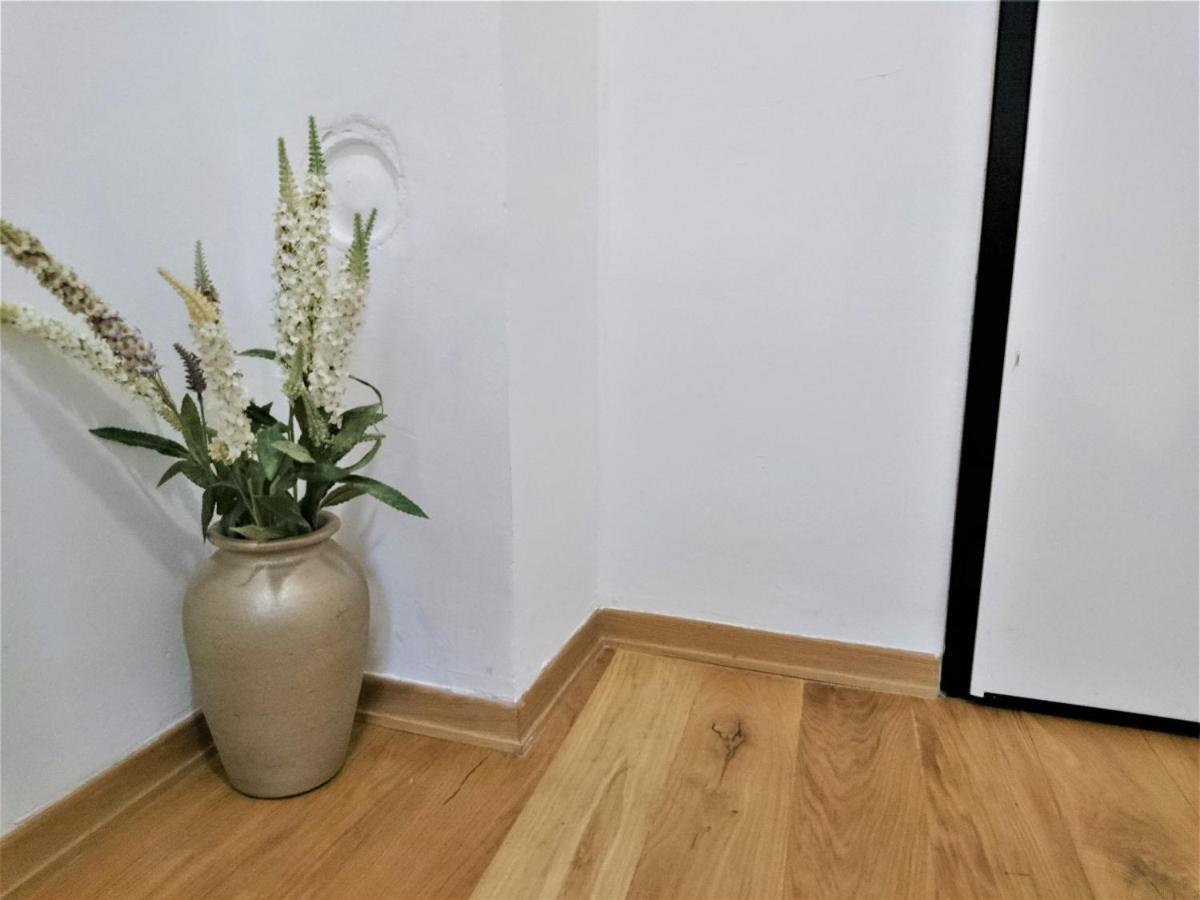 Tiny Cozy Accommodation Zagreb Eksteriør billede
